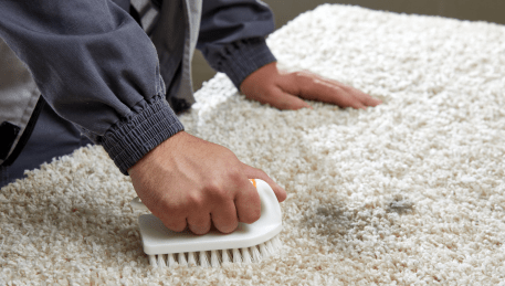 Professional Rug Cleaning Sherbrooke
